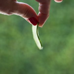 Quinoa con Sandía y Aliño de Pimientos Asados CORTE ULTRAFINO DE PEPINO RECETAS SALUDABLES FARMACIA ALBALÁ