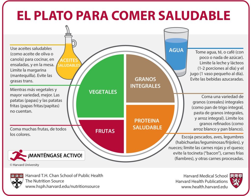 PLATO DE HARVARD