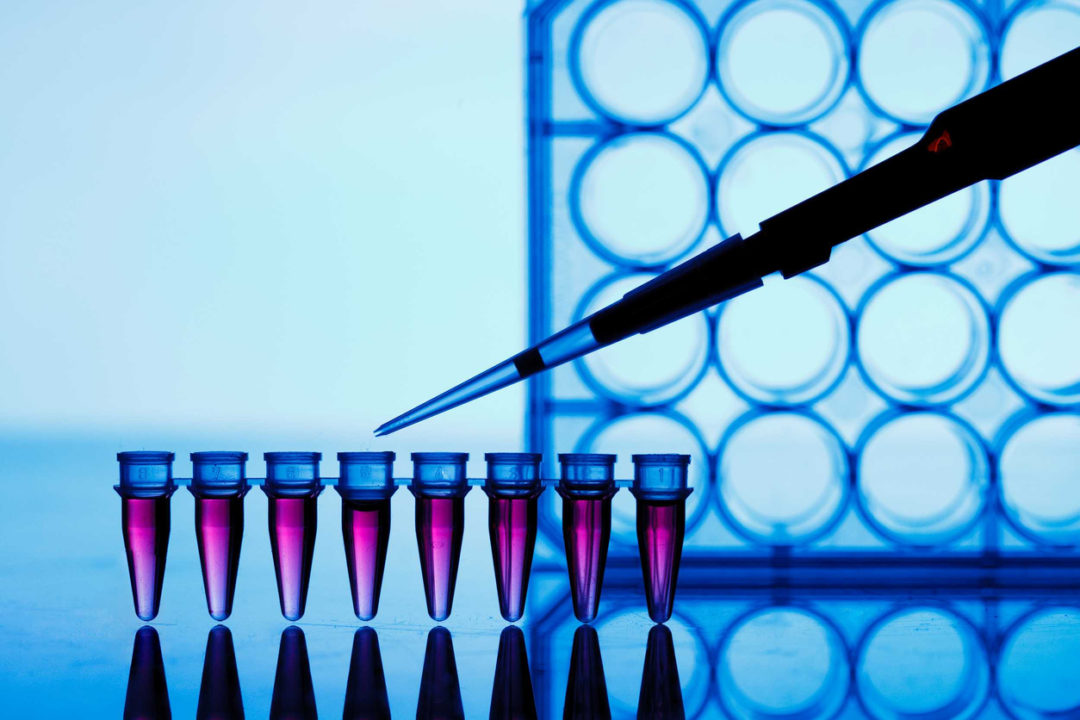 PCR test covid19